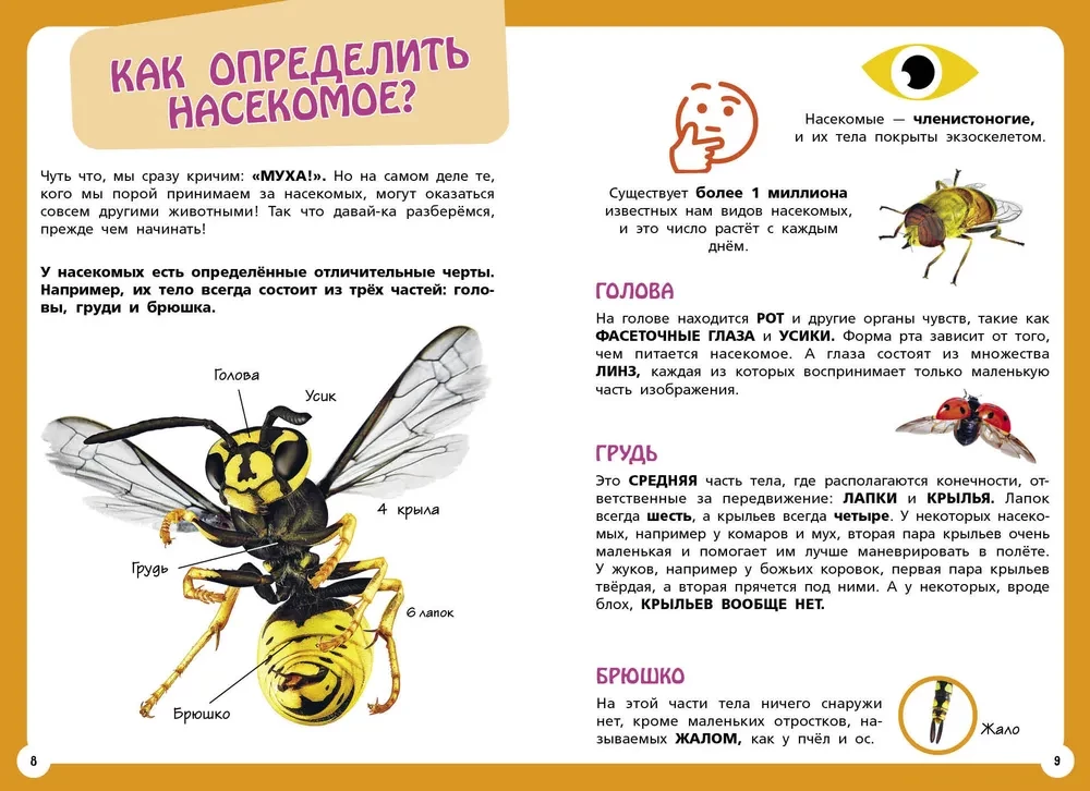 Visneparastākie dzīvnieki un vietas pasaulē