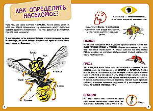 Visneparastākie dzīvnieki un vietas pasaulē