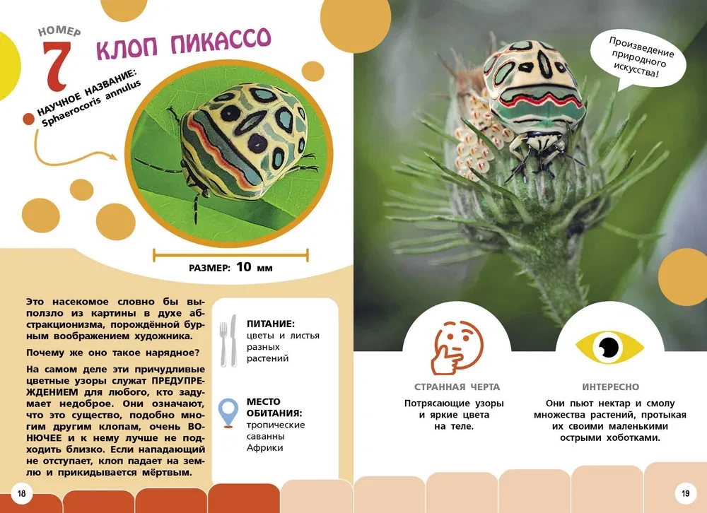Visneparastākie dzīvnieki un vietas pasaulē