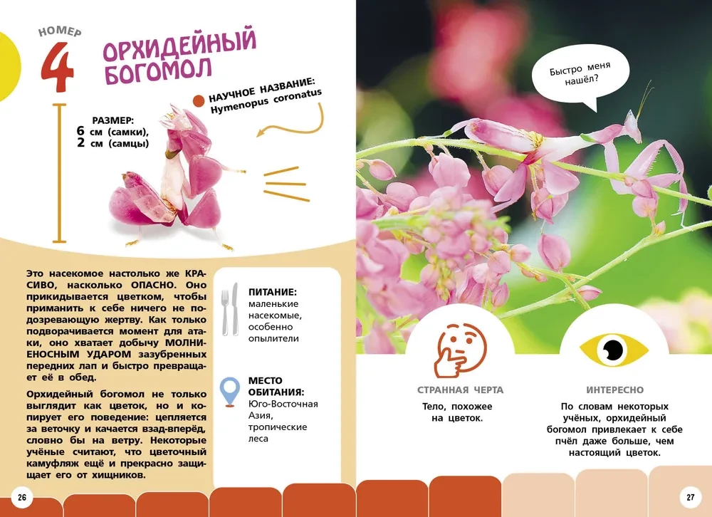 Visneparastākie dzīvnieki un vietas pasaulē