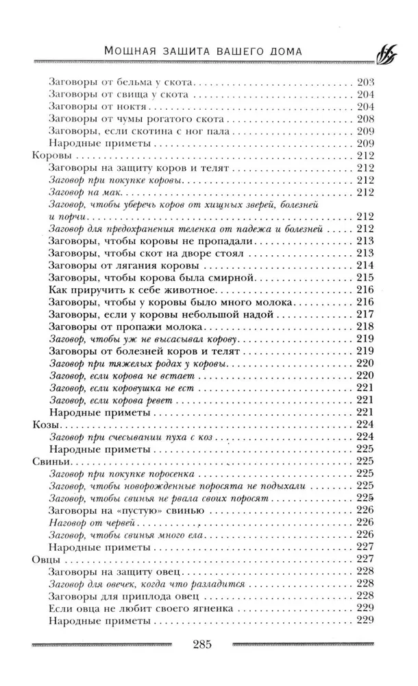 Мощная защита вашего дома. Заговоры и молитвы на крепость хозяйства