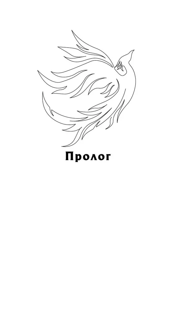 Небовзор