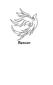 Небовзор