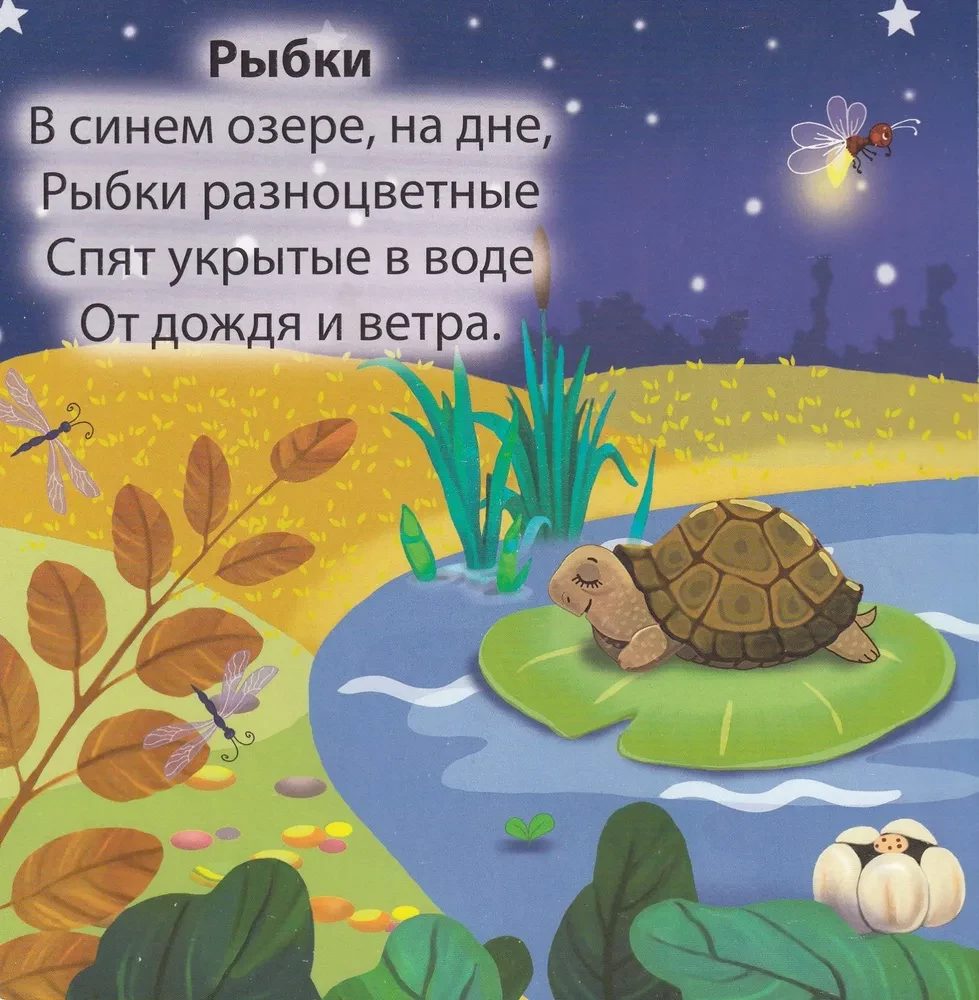 Кто где спит