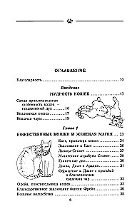 Kaķu maģija. Kā ievest veiksmi savā mājā