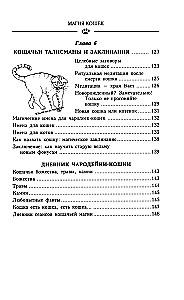 Kaķu maģija. Kā ievest veiksmi savā mājā