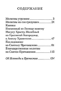 Молитвослов с совмещенными канонами и правилом ко Святому Причастию