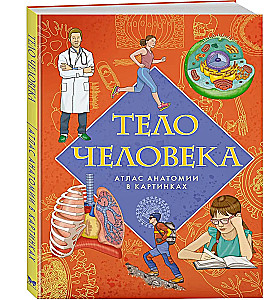 Тело человека. Атлас анатомии в картинках