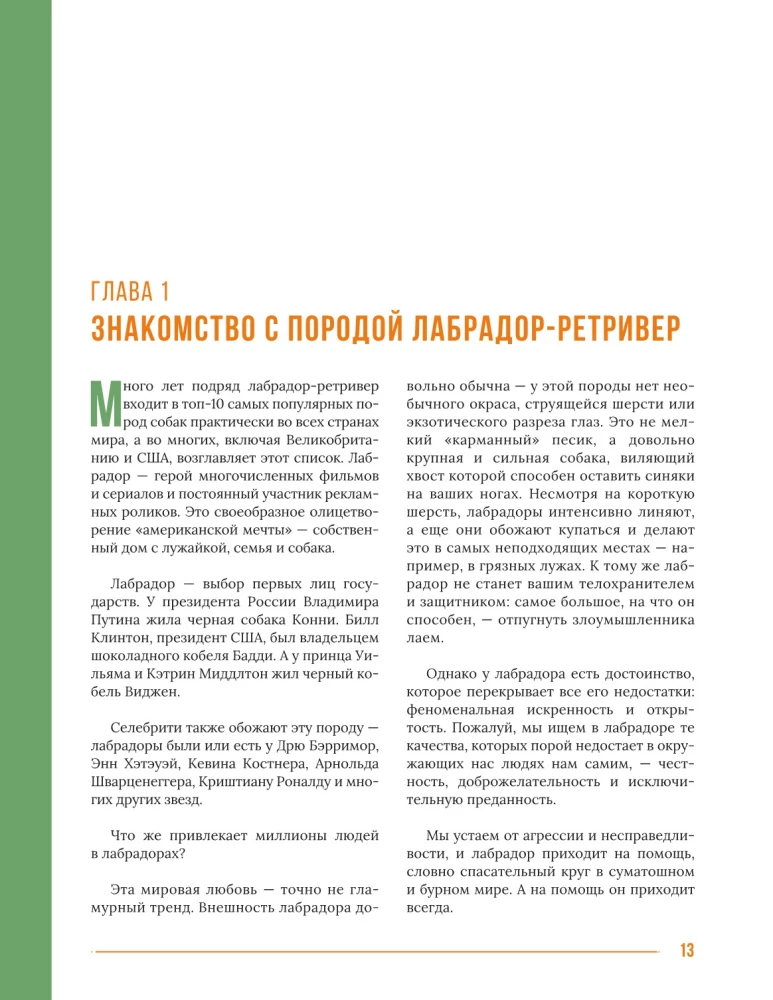 Galvenā grāmata labradora īpašniekam