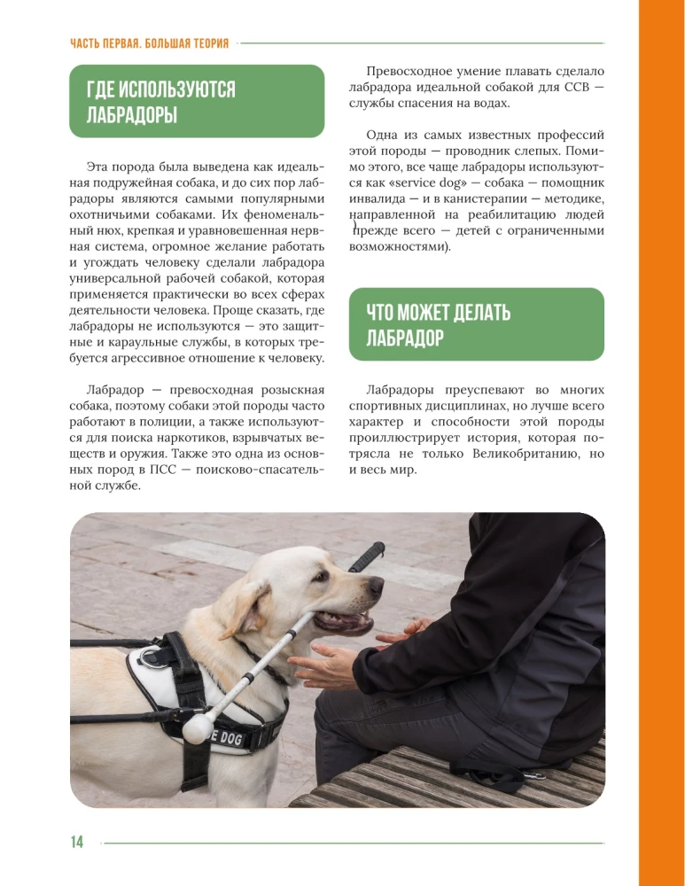 Galvenā grāmata labradora īpašniekam