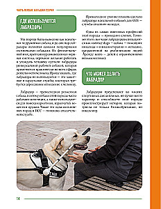 Galvenā grāmata labradora īpašniekam