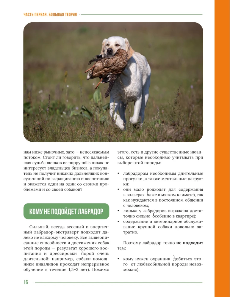 Galvenā grāmata labradora īpašniekam