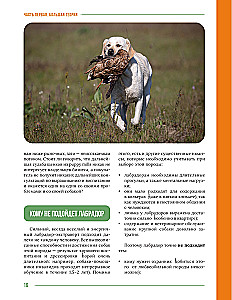Galvenā grāmata labradora īpašniekam