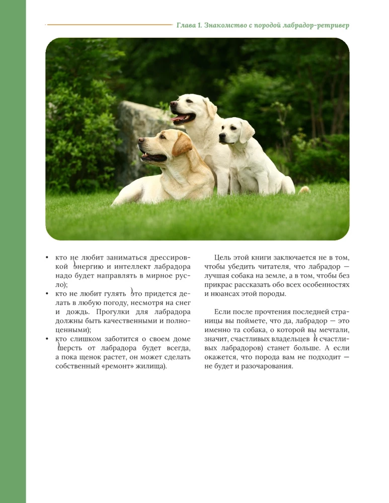 Galvenā grāmata labradora īpašniekam