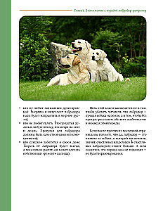 Galvenā grāmata labradora īpašniekam