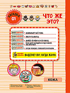 Тело человека
