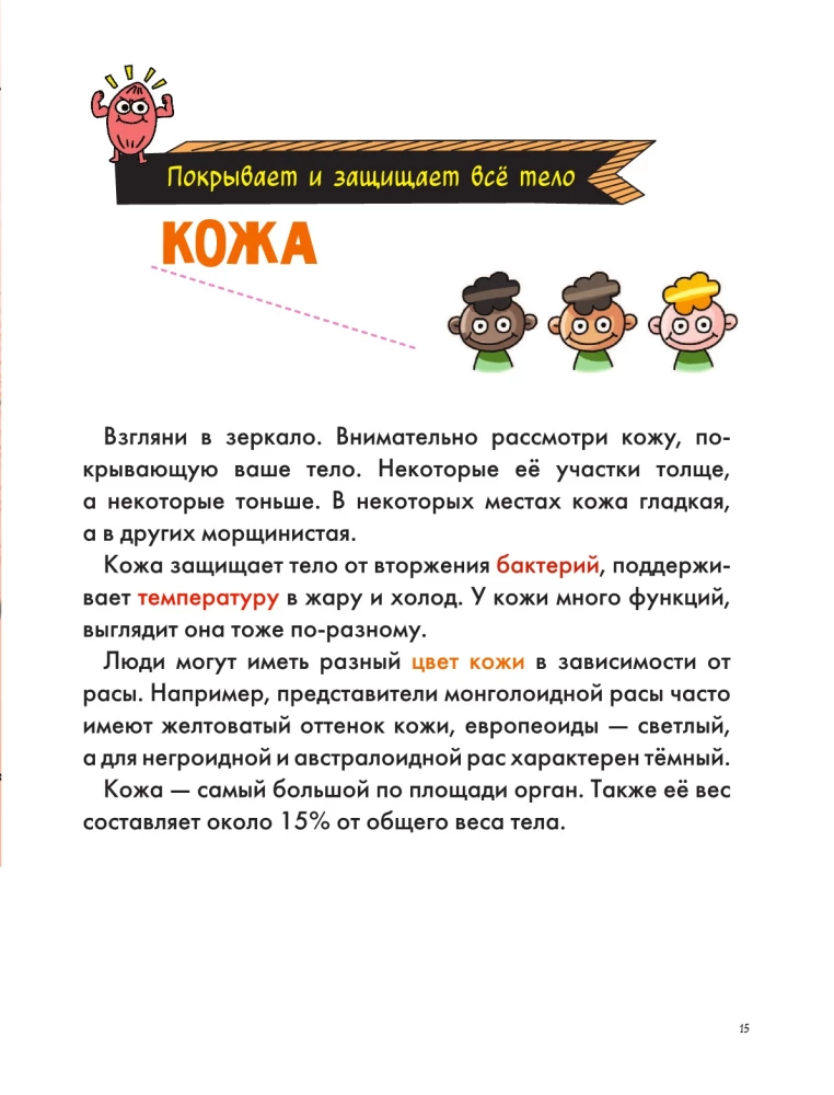 Тело человека