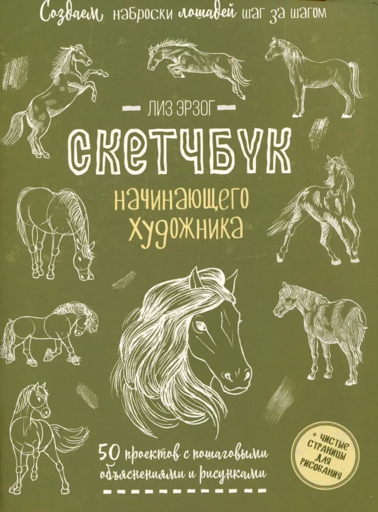 Скетчбук начинающего художника. Создаем наброски лошадей шаг за шагом