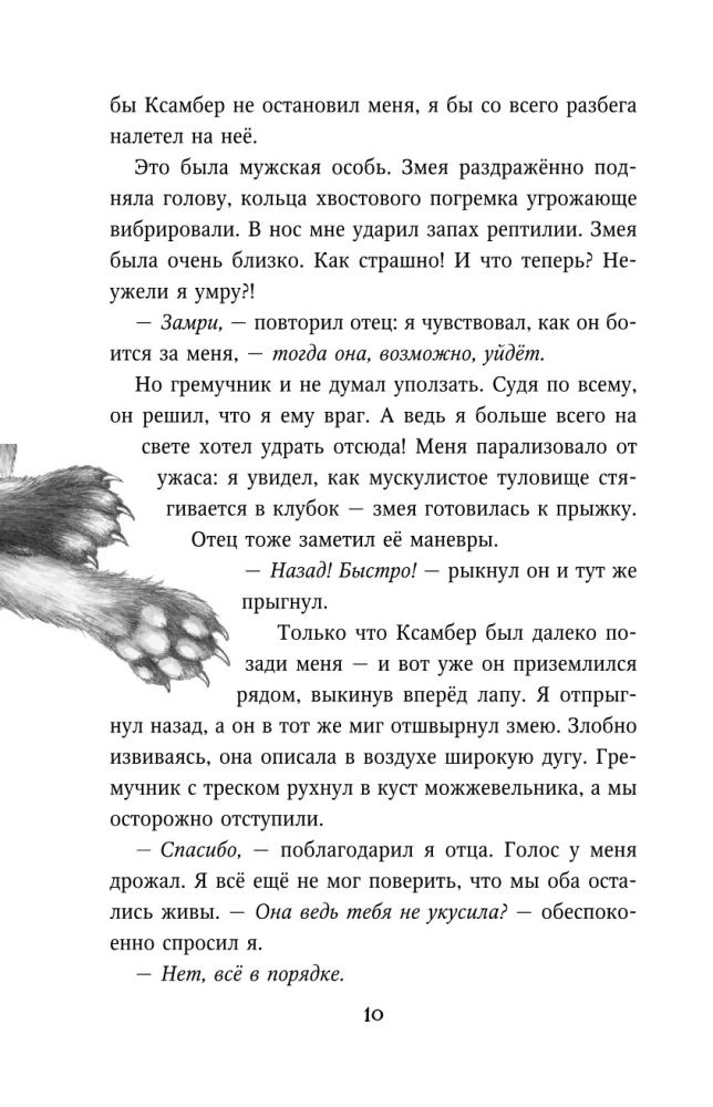 Месть пумы