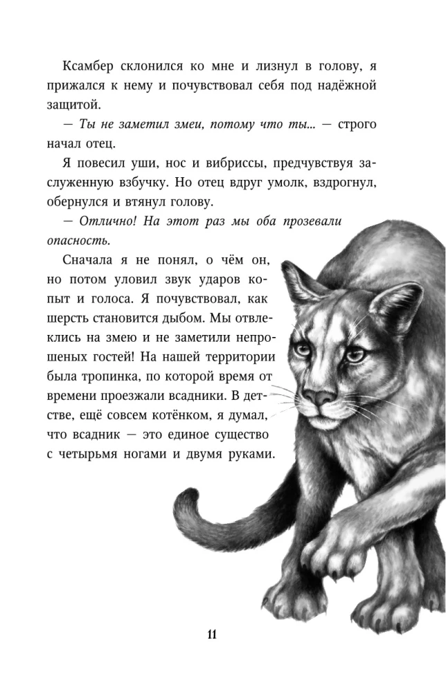 Месть пумы