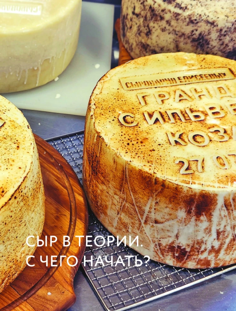 Домашний сыр. Пошаговая книга-курс от новичка до мастера