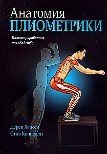 Анатомия плиометрики