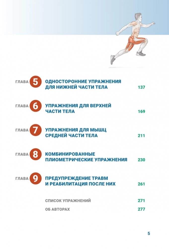 Анатомия плиометрики