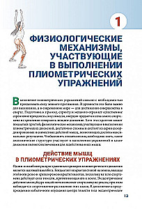 Анатомия плиометрики