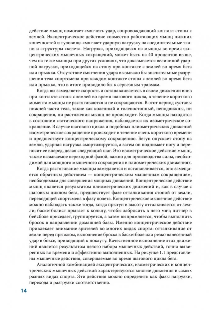 Анатомия плиометрики