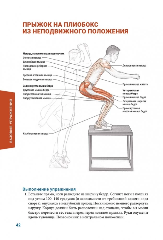 Анатомия плиометрики