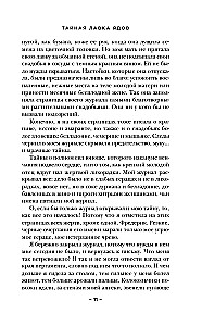 Noslēpumainā indiņu veikals