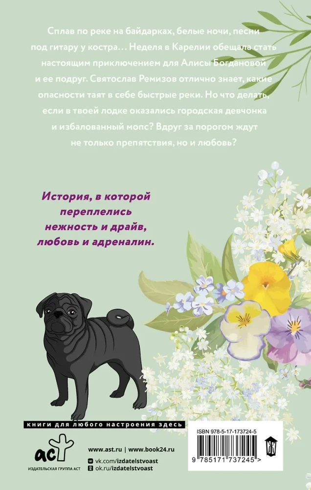 Любовь в Сочи, мопс и белые ночи