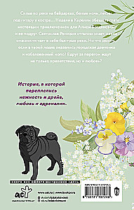 Любовь в Сочи, мопс и белые ночи