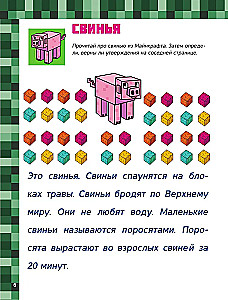 MINECRAFT. 1001 galvasmežģis