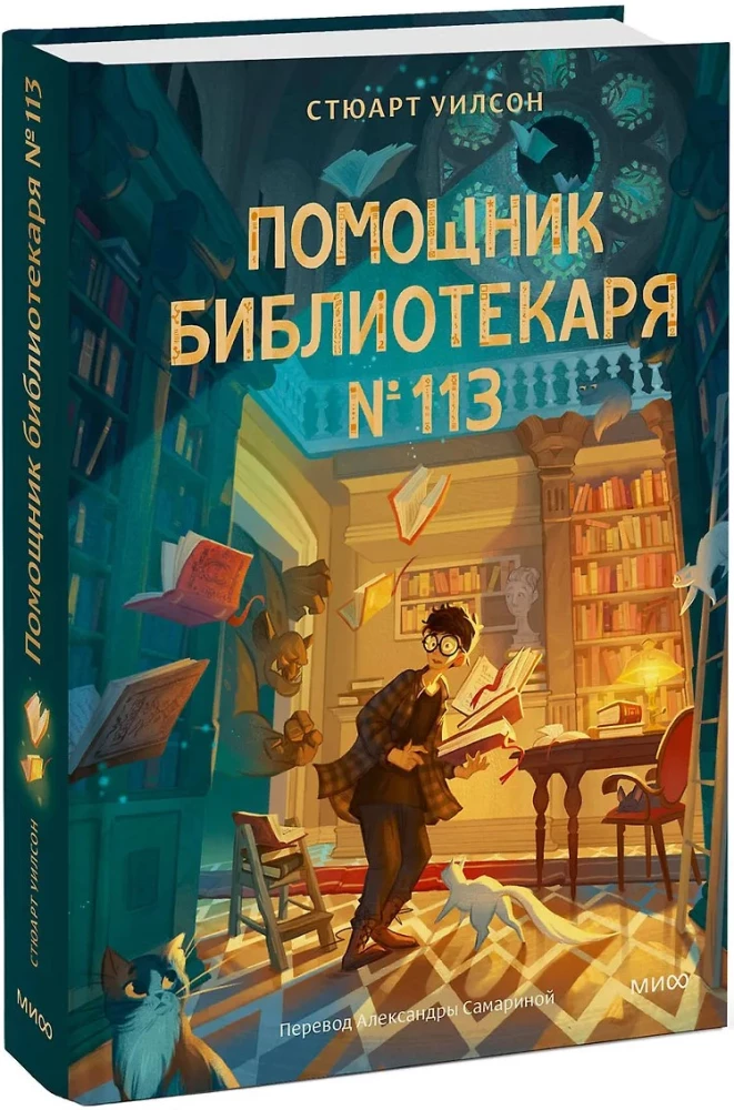Помощник библиотекаря № 113