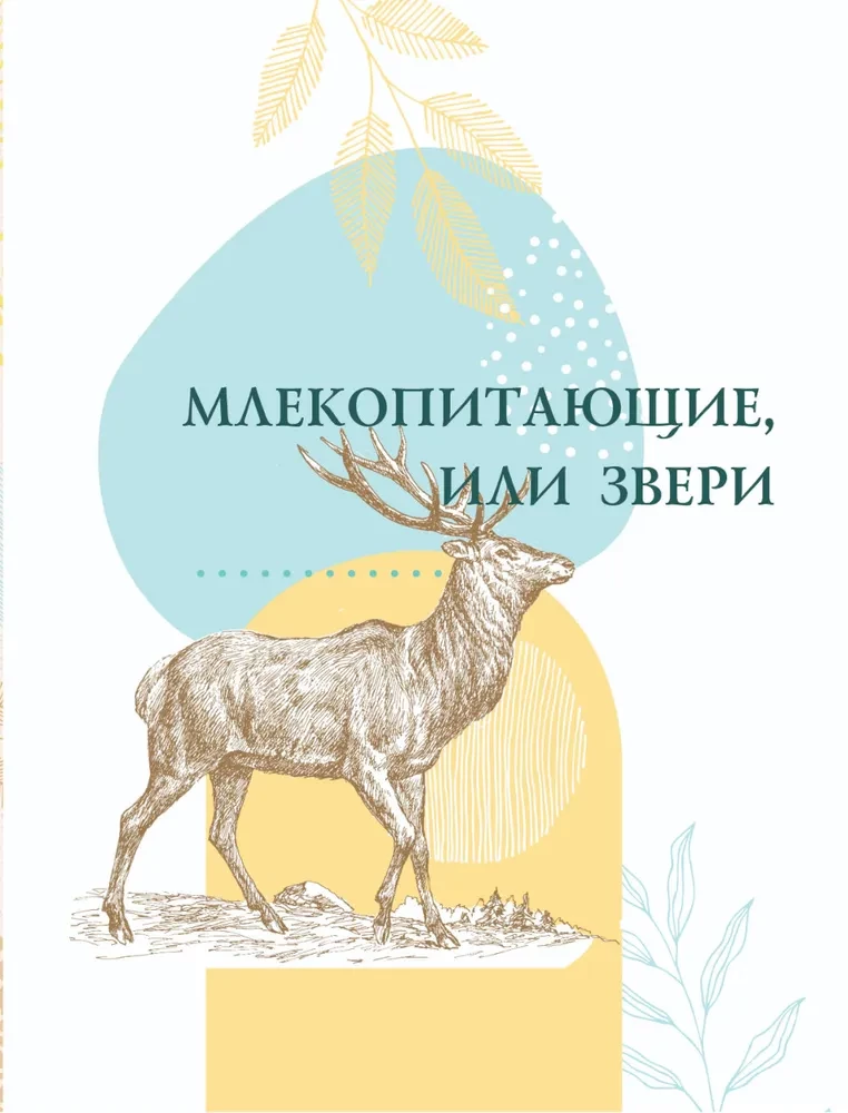 Красная книга. Активити