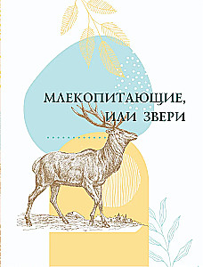 Красная книга. Активити