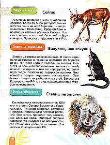 Красная книга. Активити