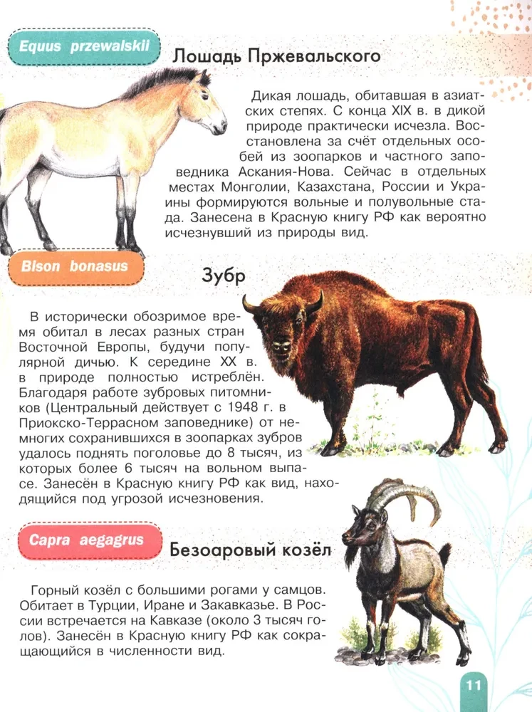 Красная книга. Активити