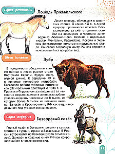 Красная книга. Активити