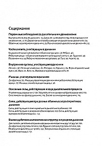 Elpošanas anatomija
