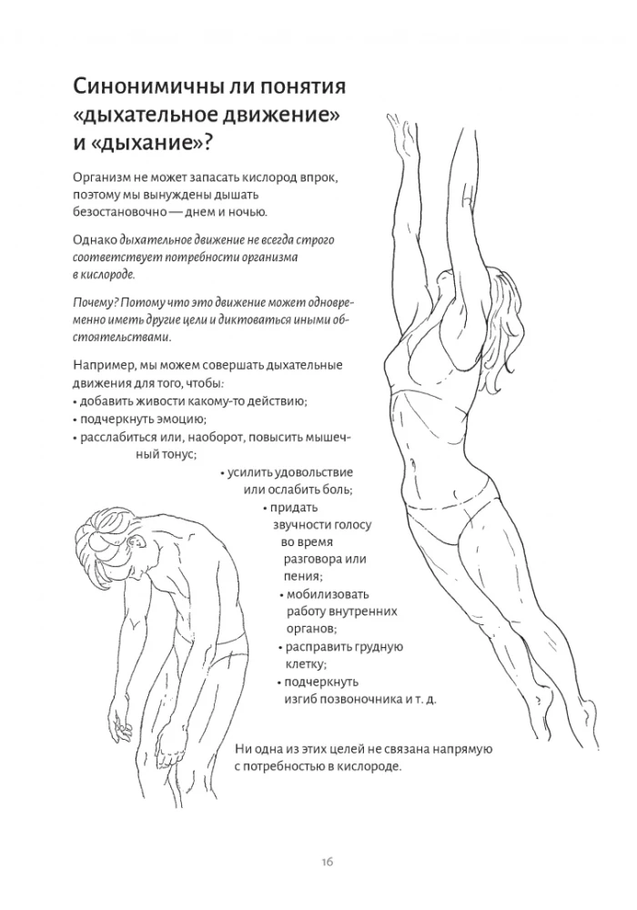 Elpošanas anatomija
