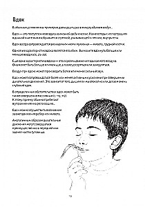Elpošanas anatomija
