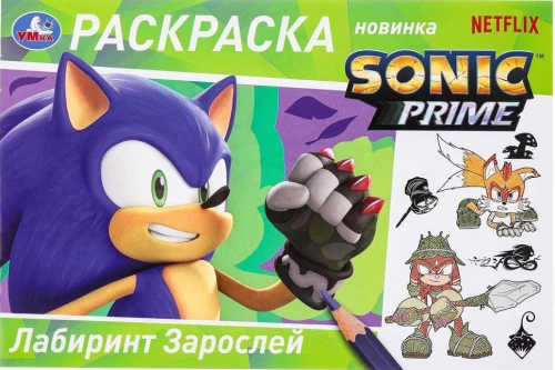 Sonic. Aizaugu labirints