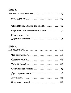 50 оттенков рыжего. Все, что нужно знать о домашних лисицах