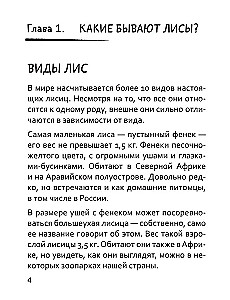 50 оттенков рыжего. Все, что нужно знать о домашних лисицах