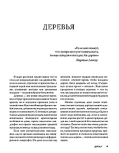 60 готовых решений для вашего сада. Ландшафтные композиции с деревьями, кустарниками и многолетниками