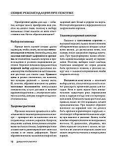 60 готовых решений для вашего сада. Ландшафтные композиции с деревьями, кустарниками и многолетниками