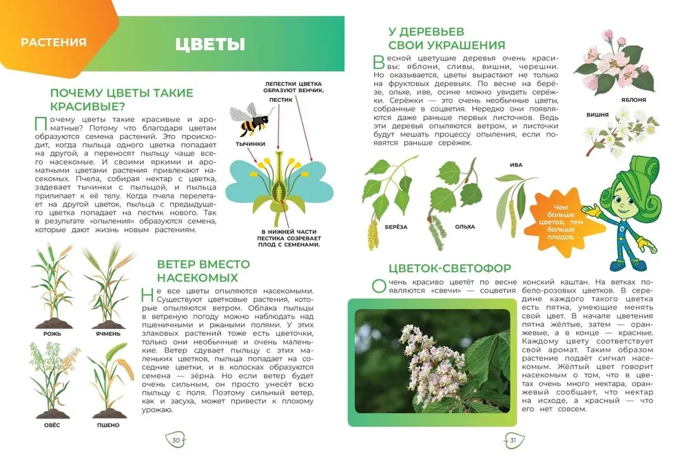 Fiksiki. Kā viss ir iekārtots? Galvenās zināšanas par pasauli