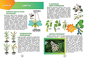 Fiksiki. Kā viss ir iekārtots? Galvenās zināšanas par pasauli